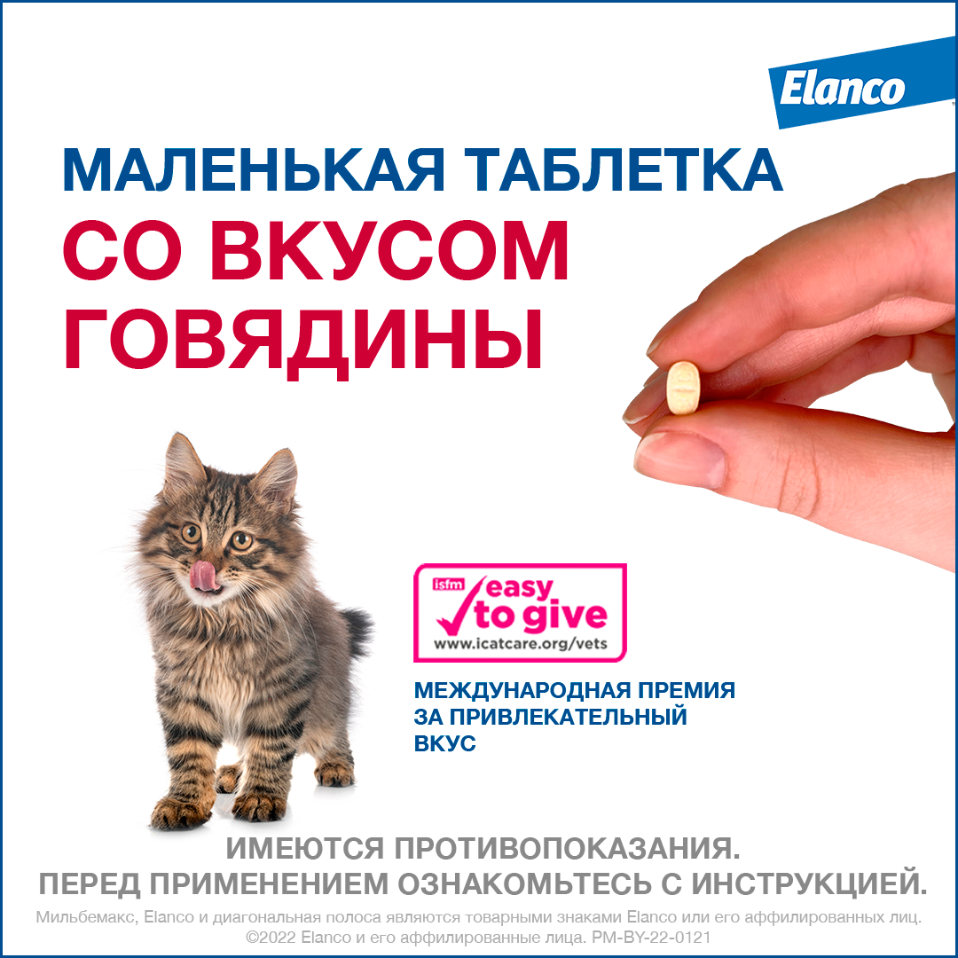 6. Milbemax_small cats_rich_6_tablet