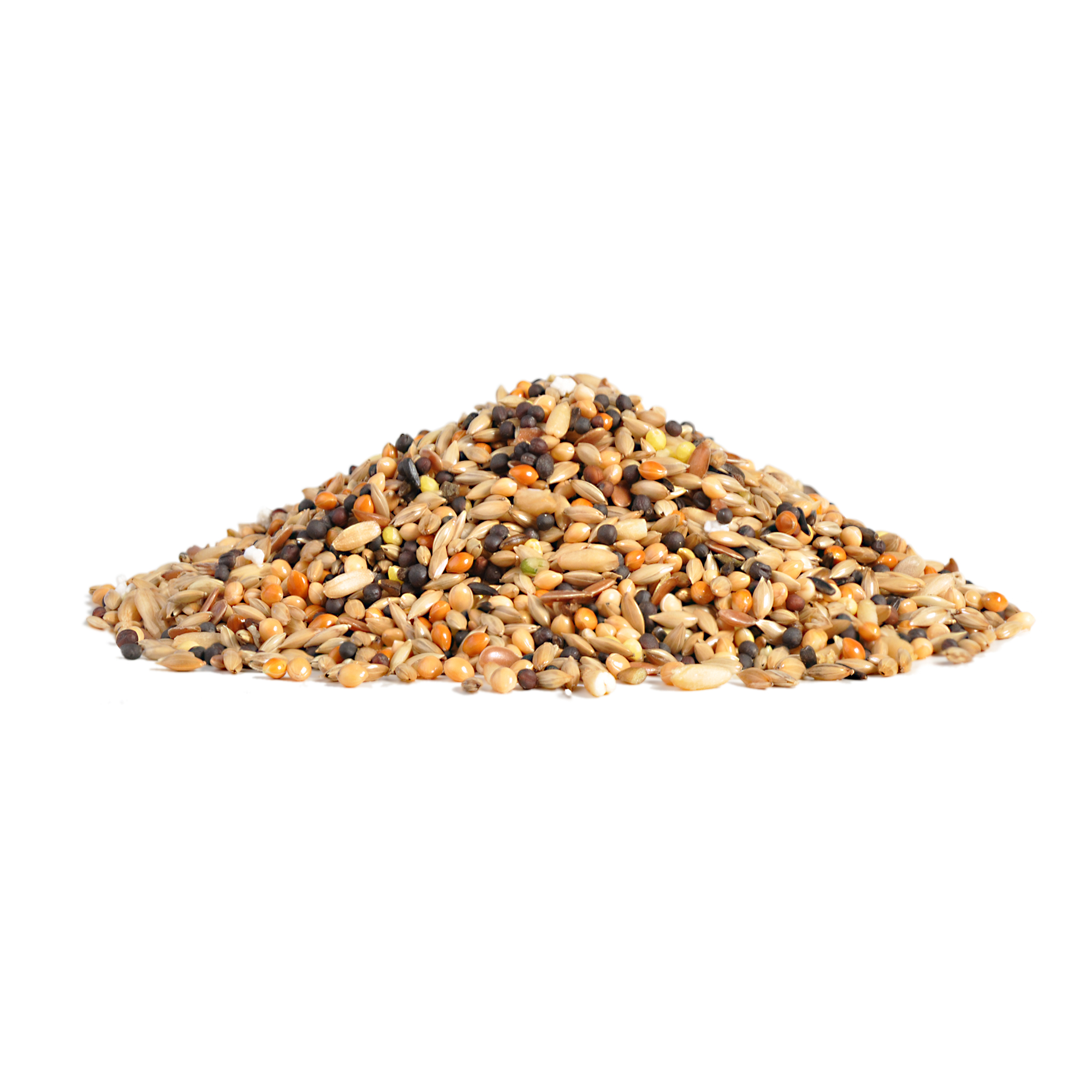 RIO_feed_canaries_show