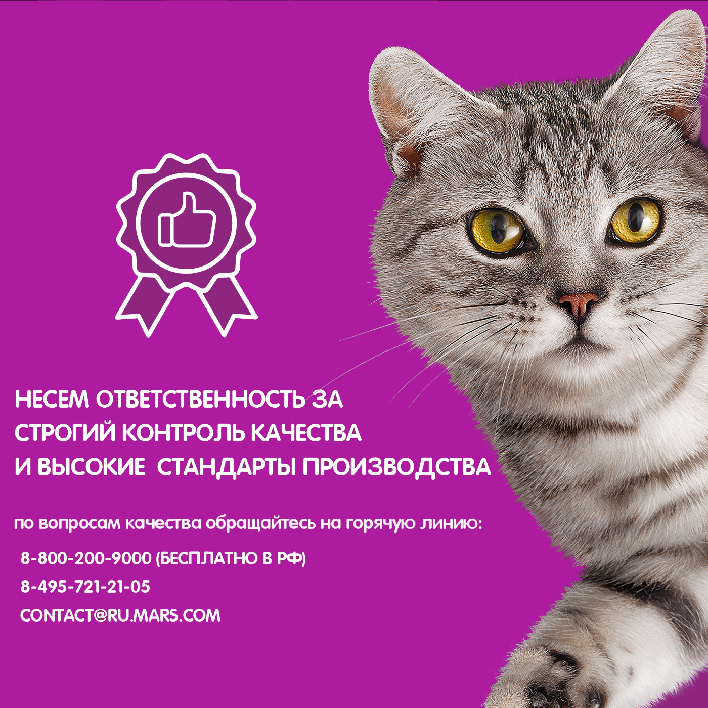 Call_v3 copy (4)