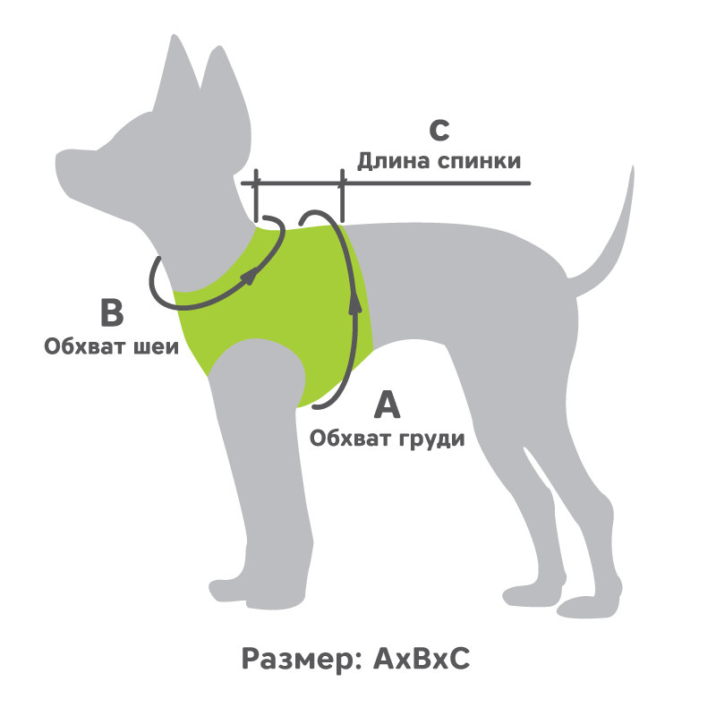 good-a4b2176f-4bc7-11ed-a593-b07b25e4d639