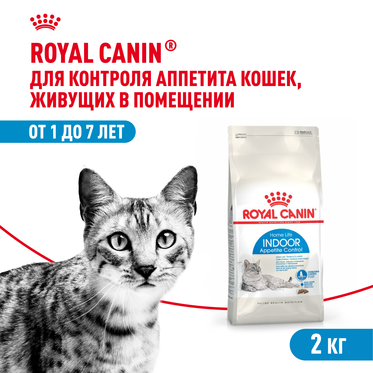 2-2kg (7)