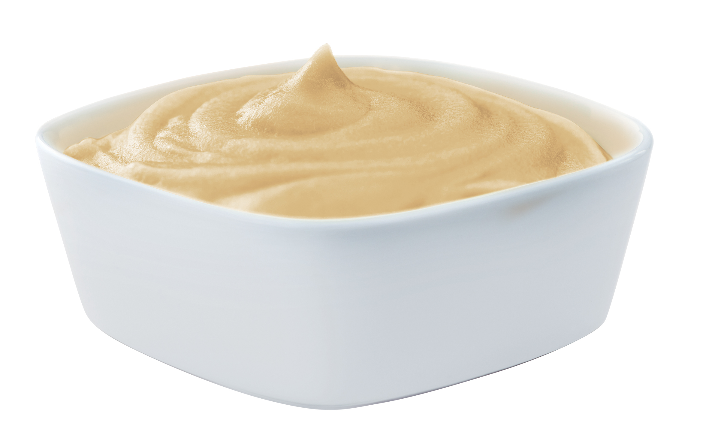 72510056-k-puree_chicken
