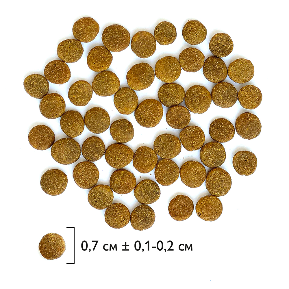 cb736afdbe1480bda9f21d9f2a27bf65