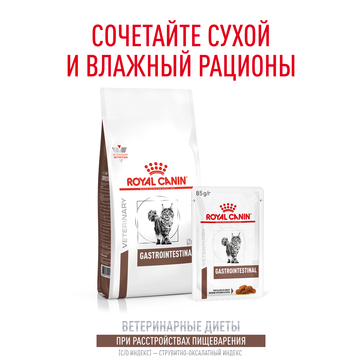 08_Cat_Gastrointestinal_Dry
