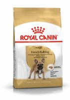 ad-french-bulldog-packshot-bhn18