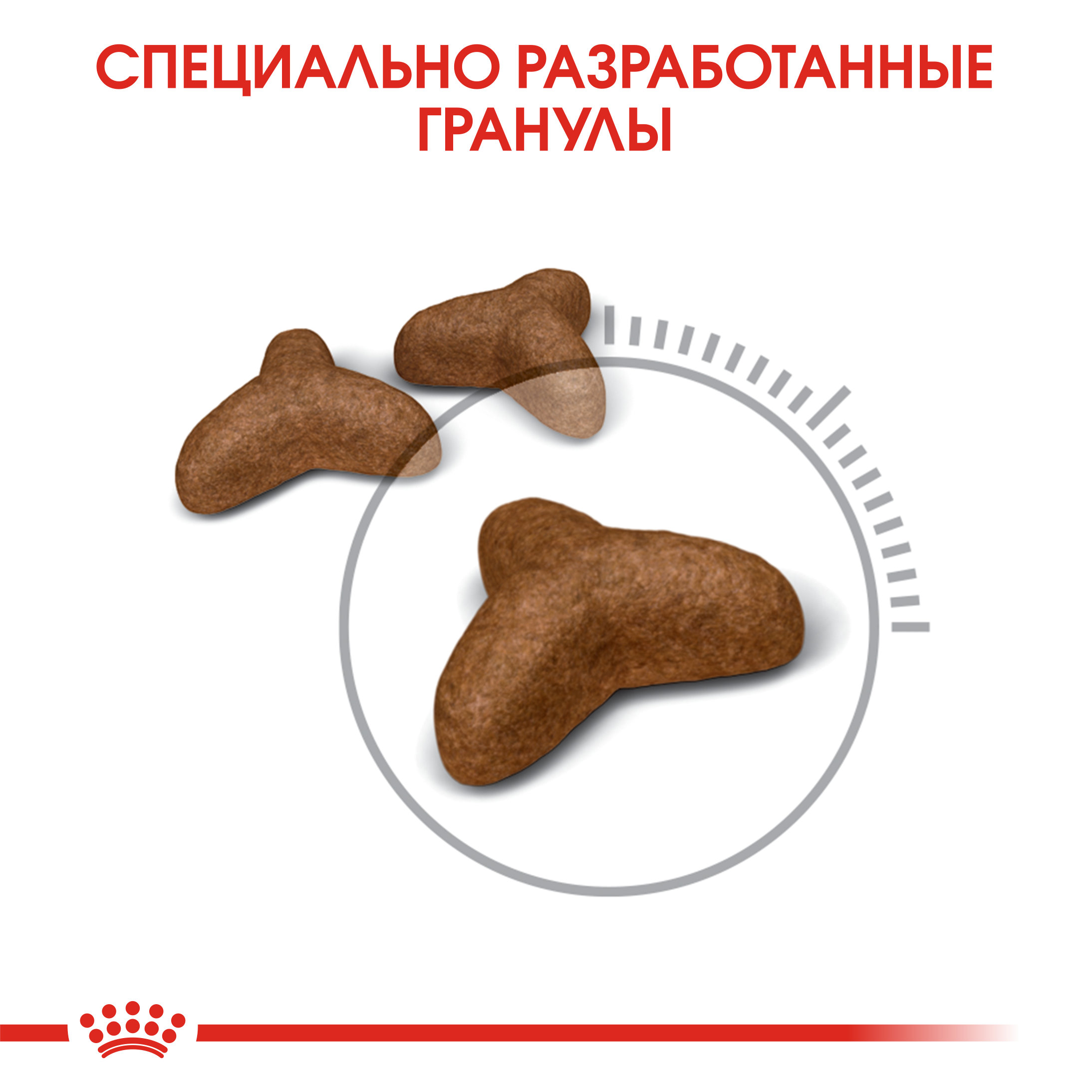 6_RC-FCN-LightWeight-CV-Eretailkit-3 RUS_new