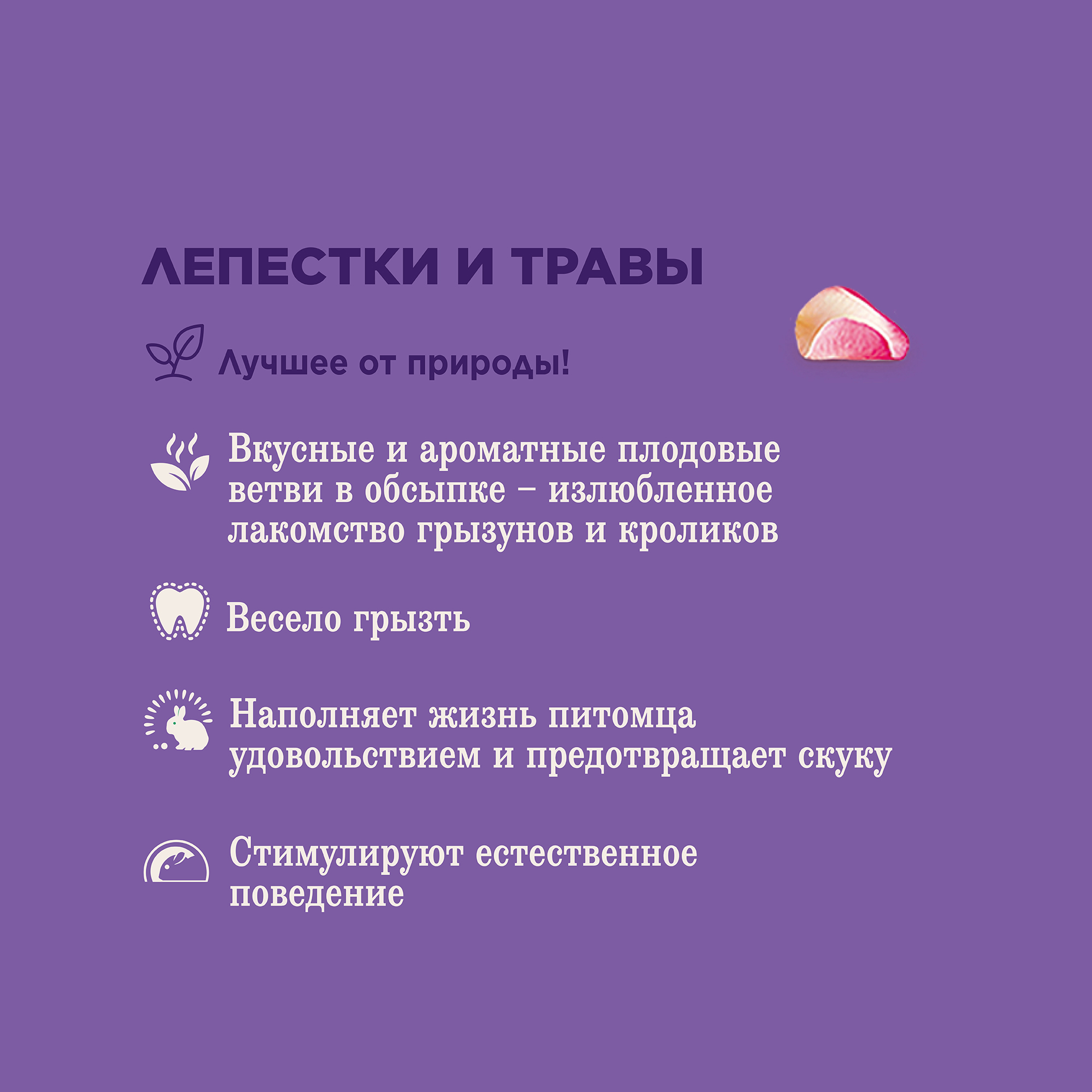 Little One_Yummy branches_petals&grasses_plus