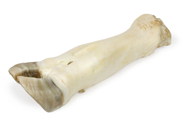 6ec7fa81-f785-4c2a-ae04-5c8c720b852d_8a232da5-985a-11eb-80fc-0cc47aabafc3.resize1