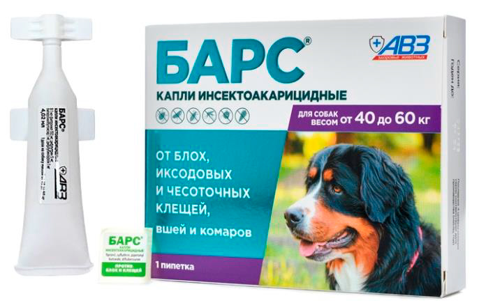 82489_inside+rotate_new