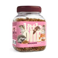 Little One_snack_mealworms_face