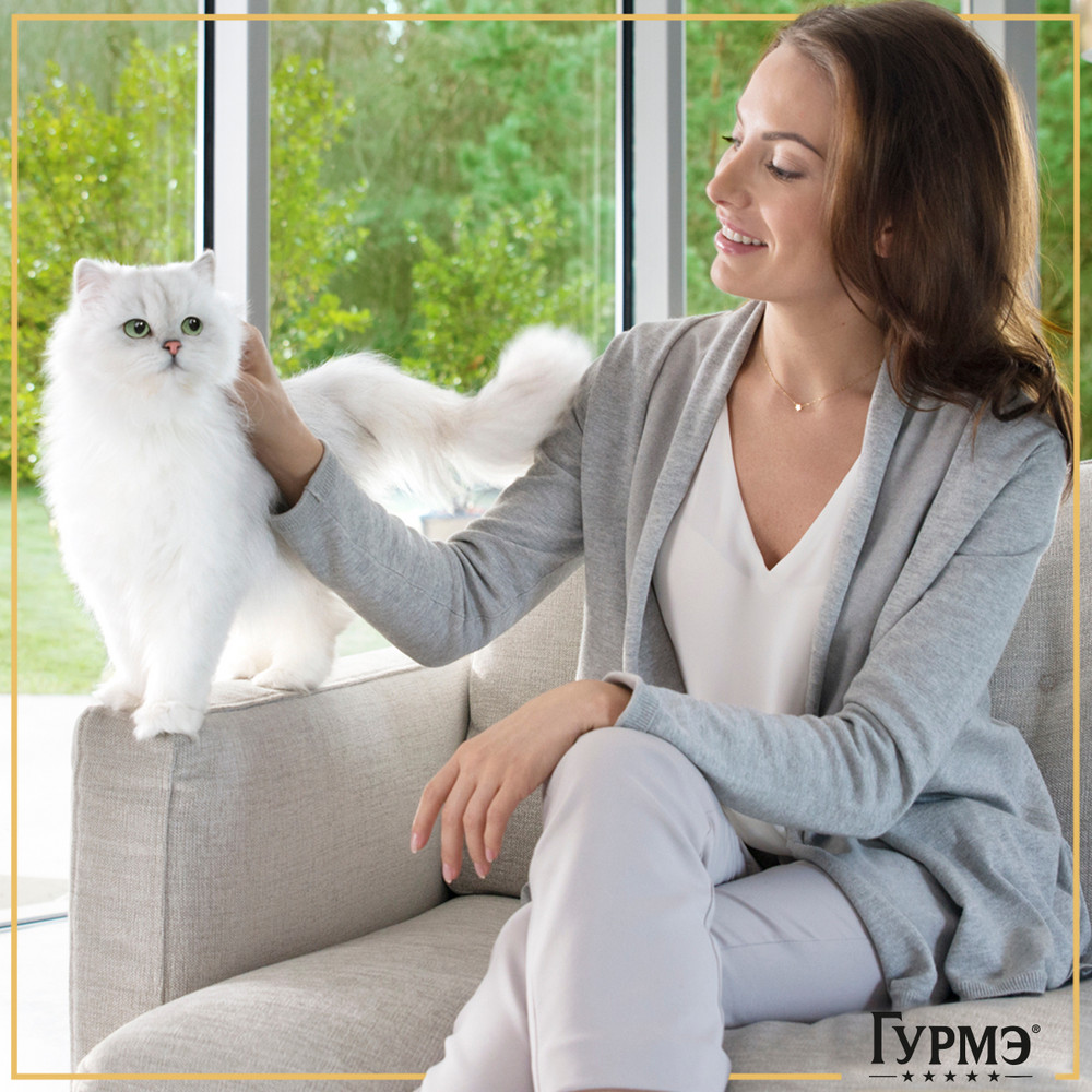 f95d0347-c8ca-4088-9aea-7aac3b0248b6