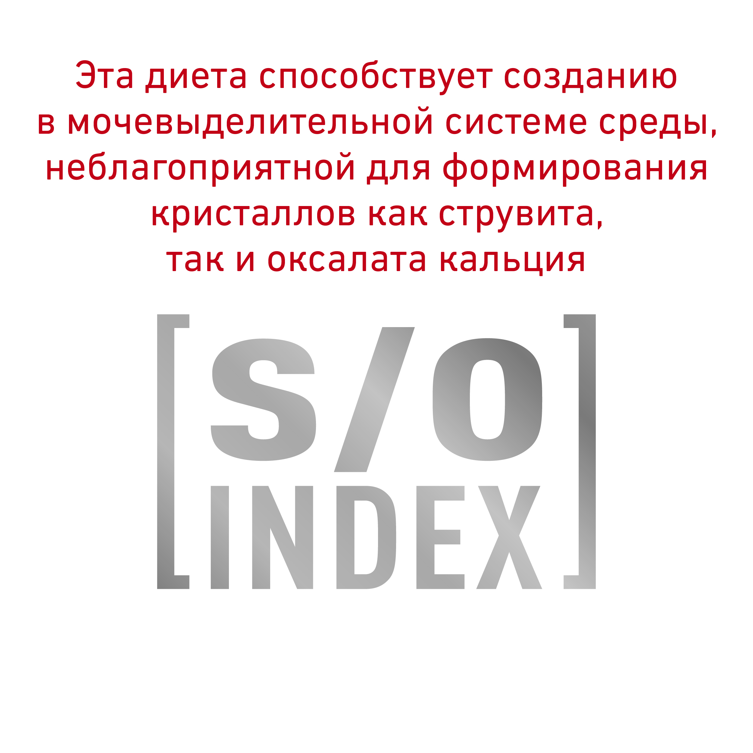 Скин энд Коат (кошки)_5