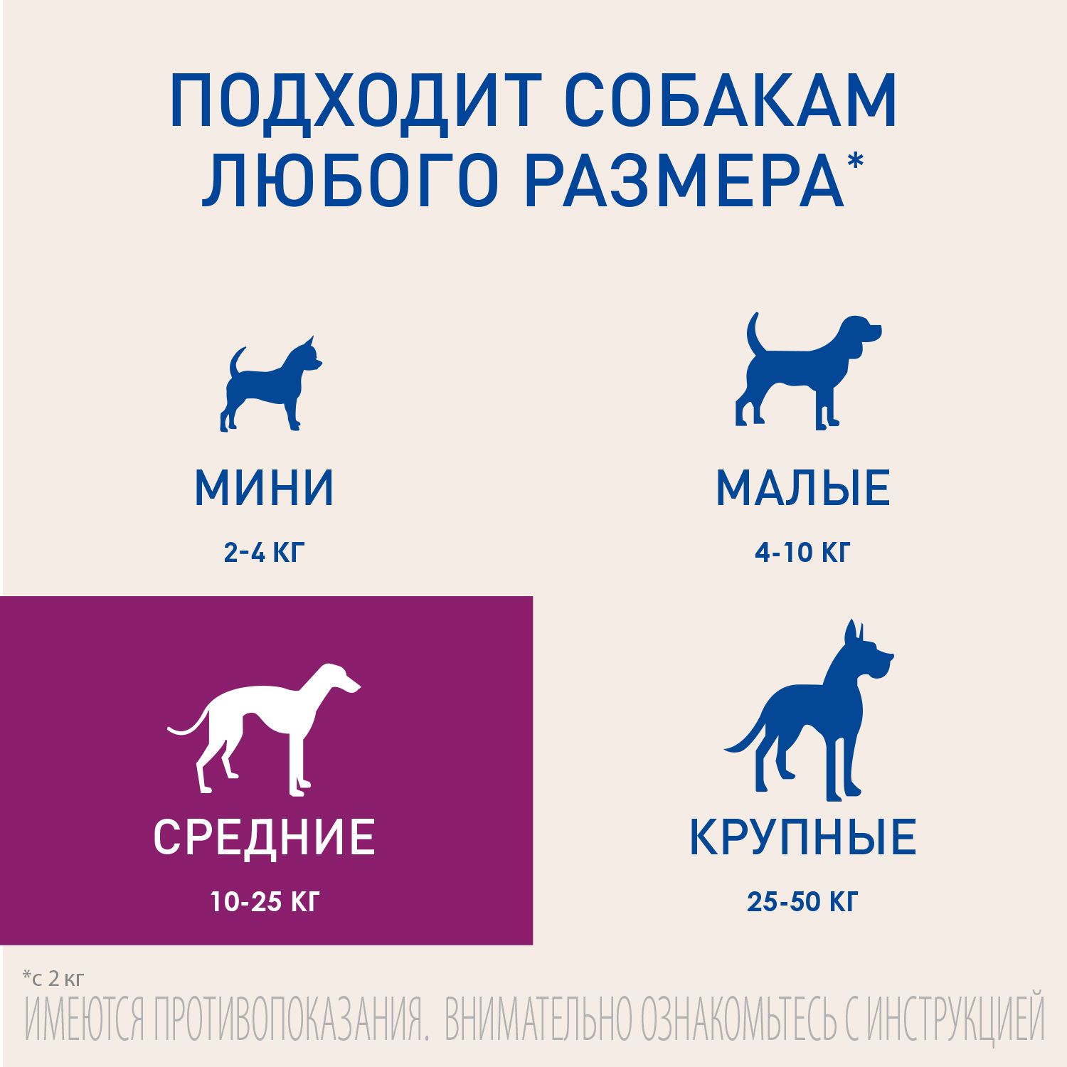 Fr Nexgard 10-25  n5