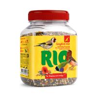 RIO_songbird mix_face