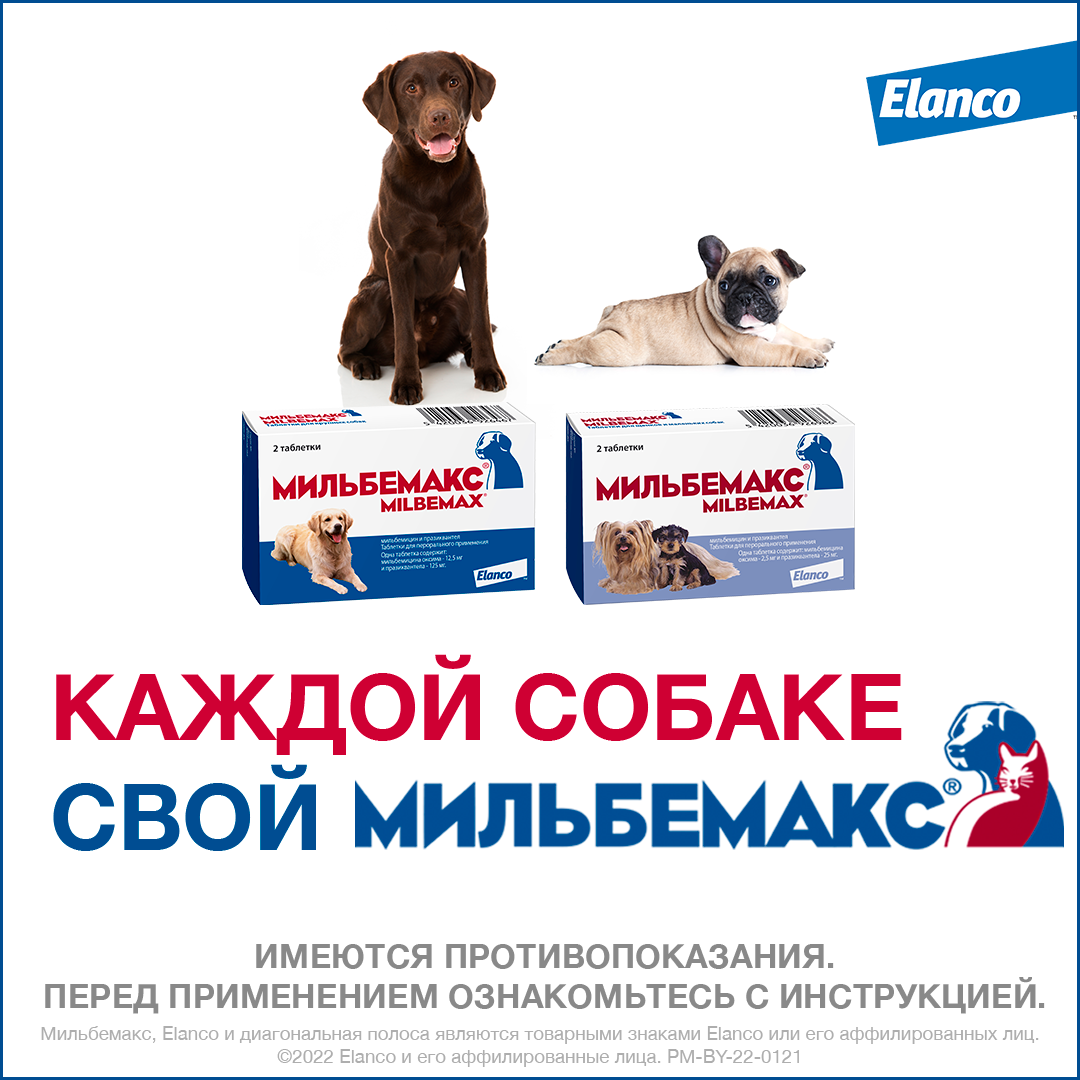 8. Milbemax_small dogs_rich_8_all packs