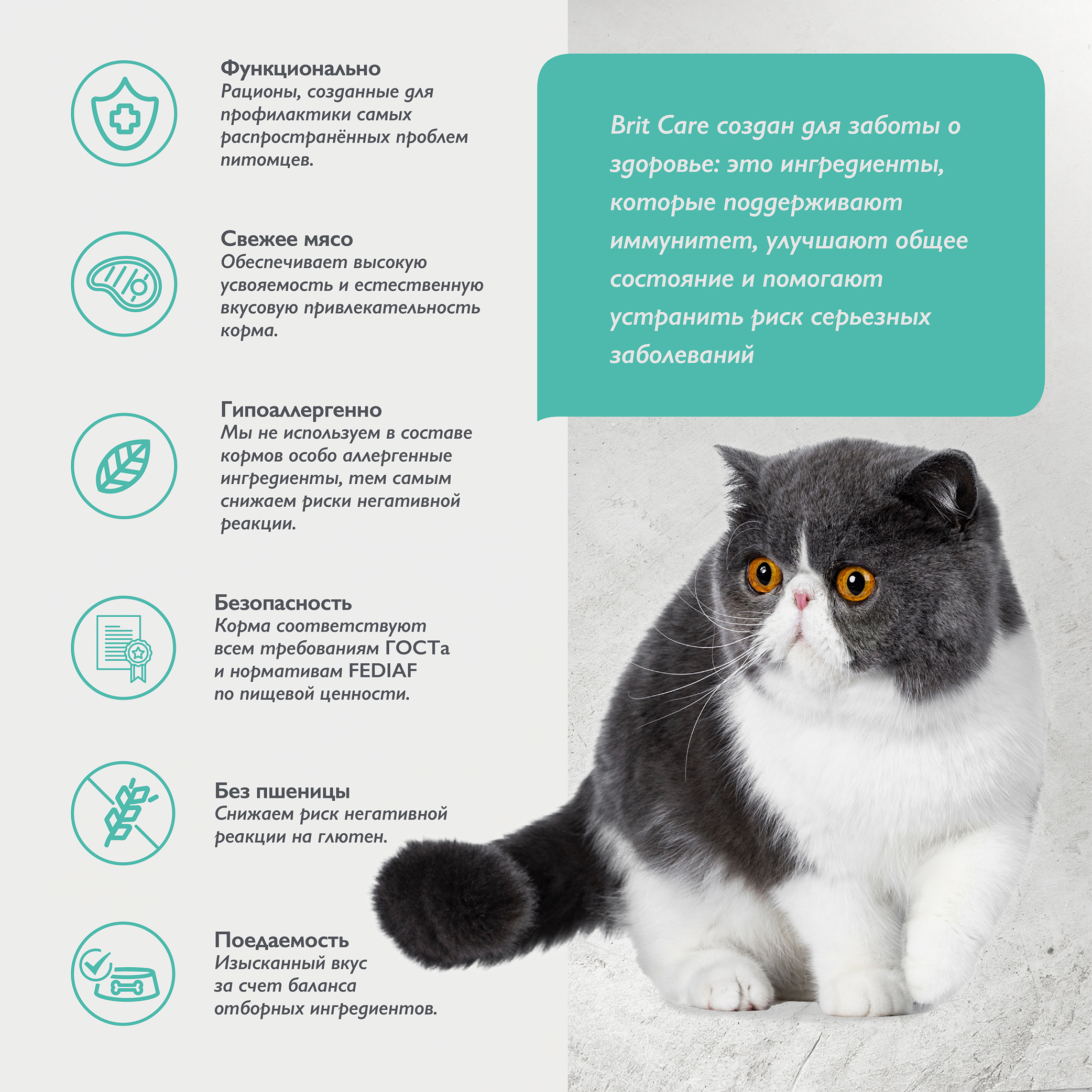 cat_sterilised_urinary_care (3)