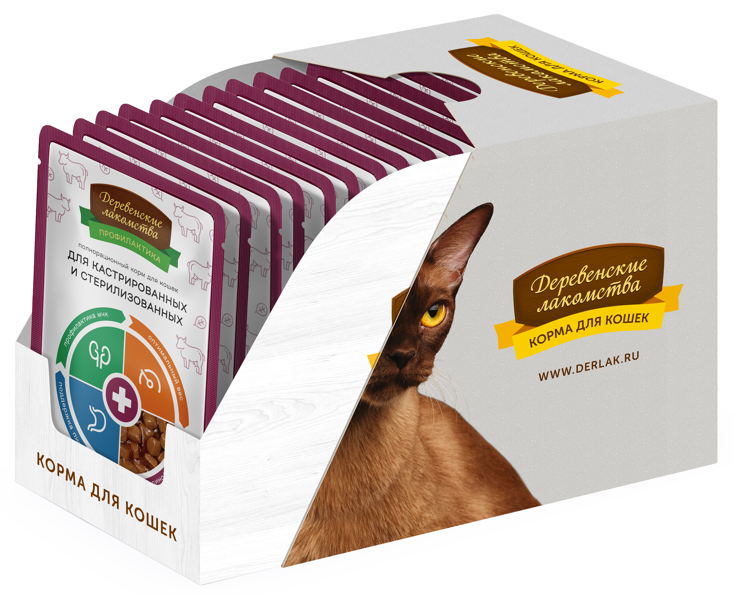 Showbox-70063088-profi