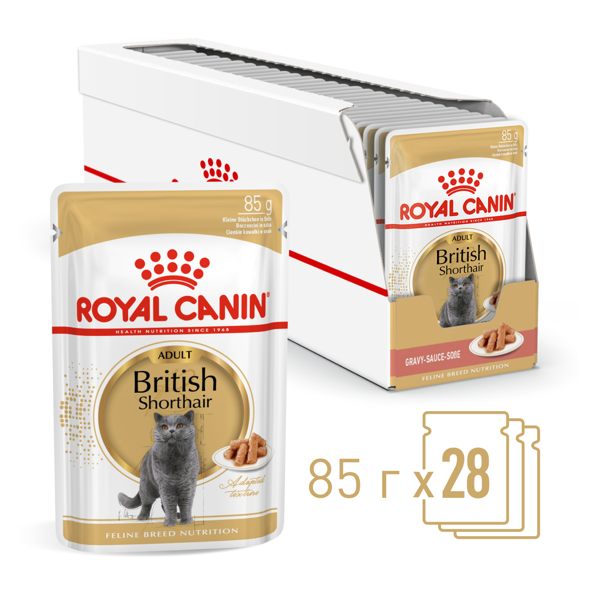 BritishShortHair-Wet_Gravy_1 (1)