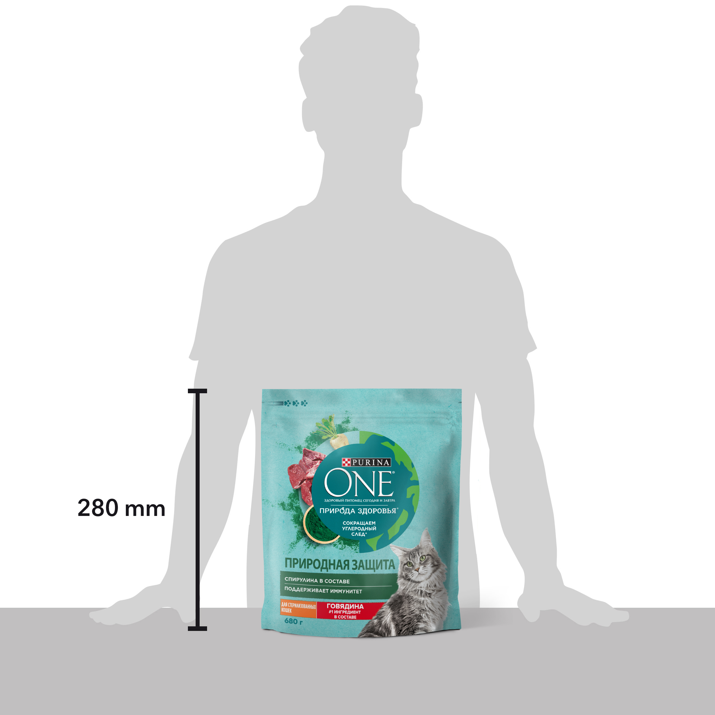 8445290737199_scale_ru