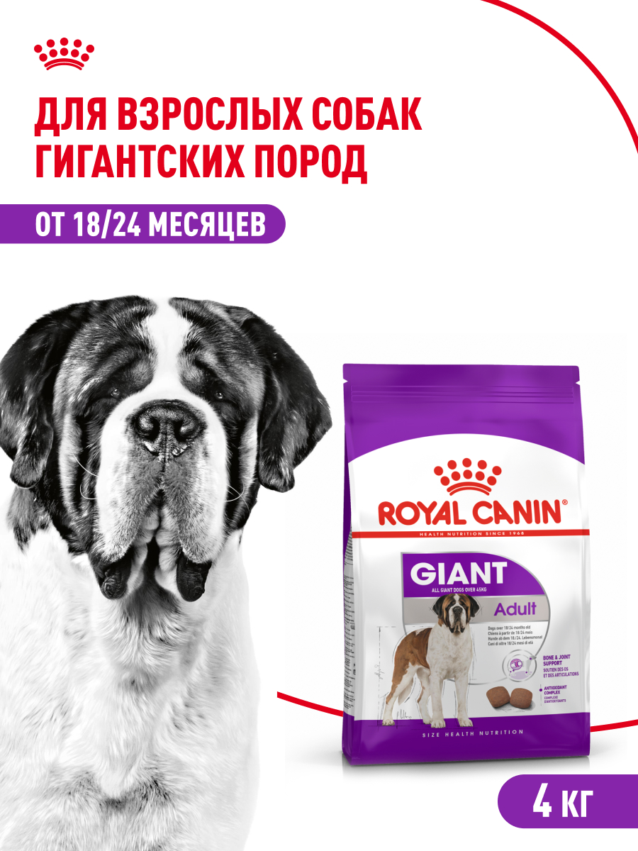 3182550703147 (1)