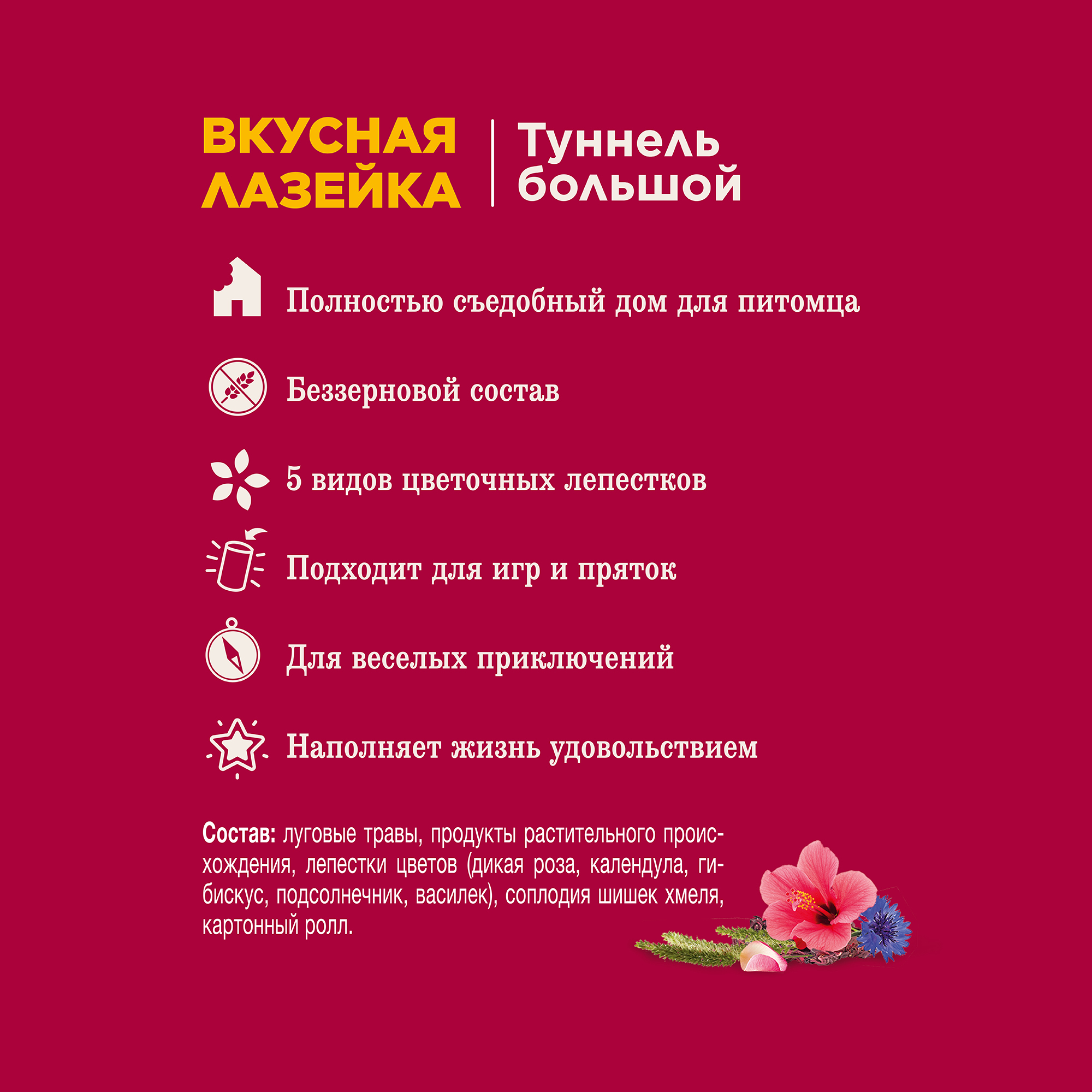 Little One_tunnel big_plus