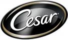 Cesar Cesar