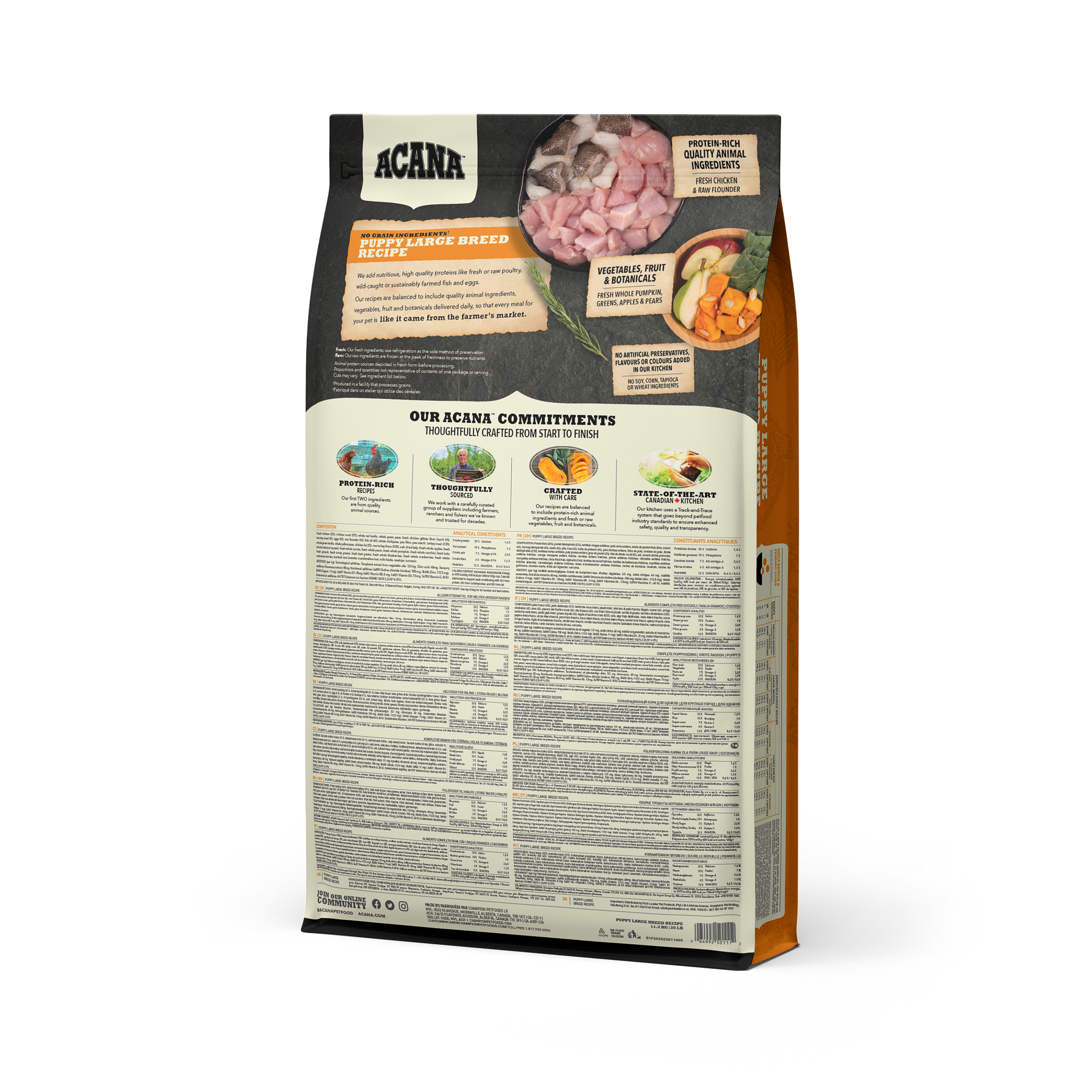 Puppy Large Breed Recipe 11.4 17 kg