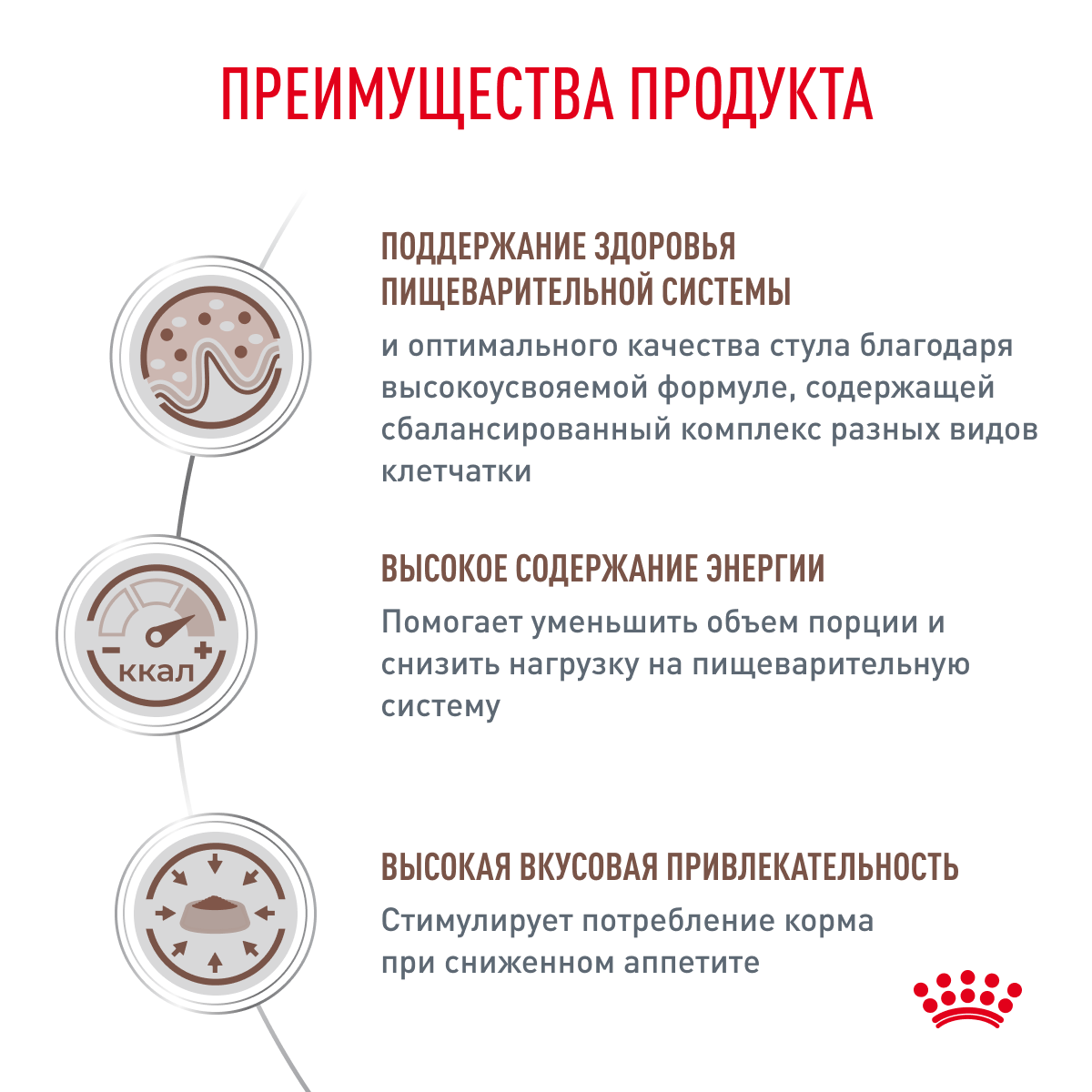 Dog_Gastrointestial_Dry_5