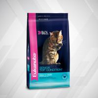 10-CAT-DRY-SENIOR_TOP_CONDITION_7plus-1x1