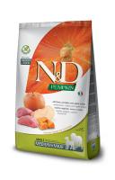 PUMPKIN BOAR&APPLE Adult medium&maxi