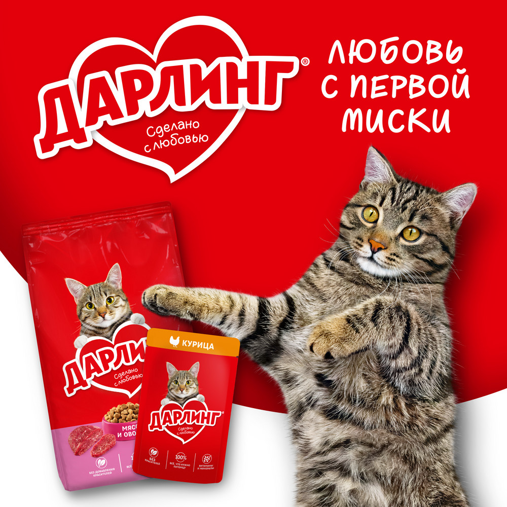 6d8d5300-5da0-4480-a619-a73a2758c21d