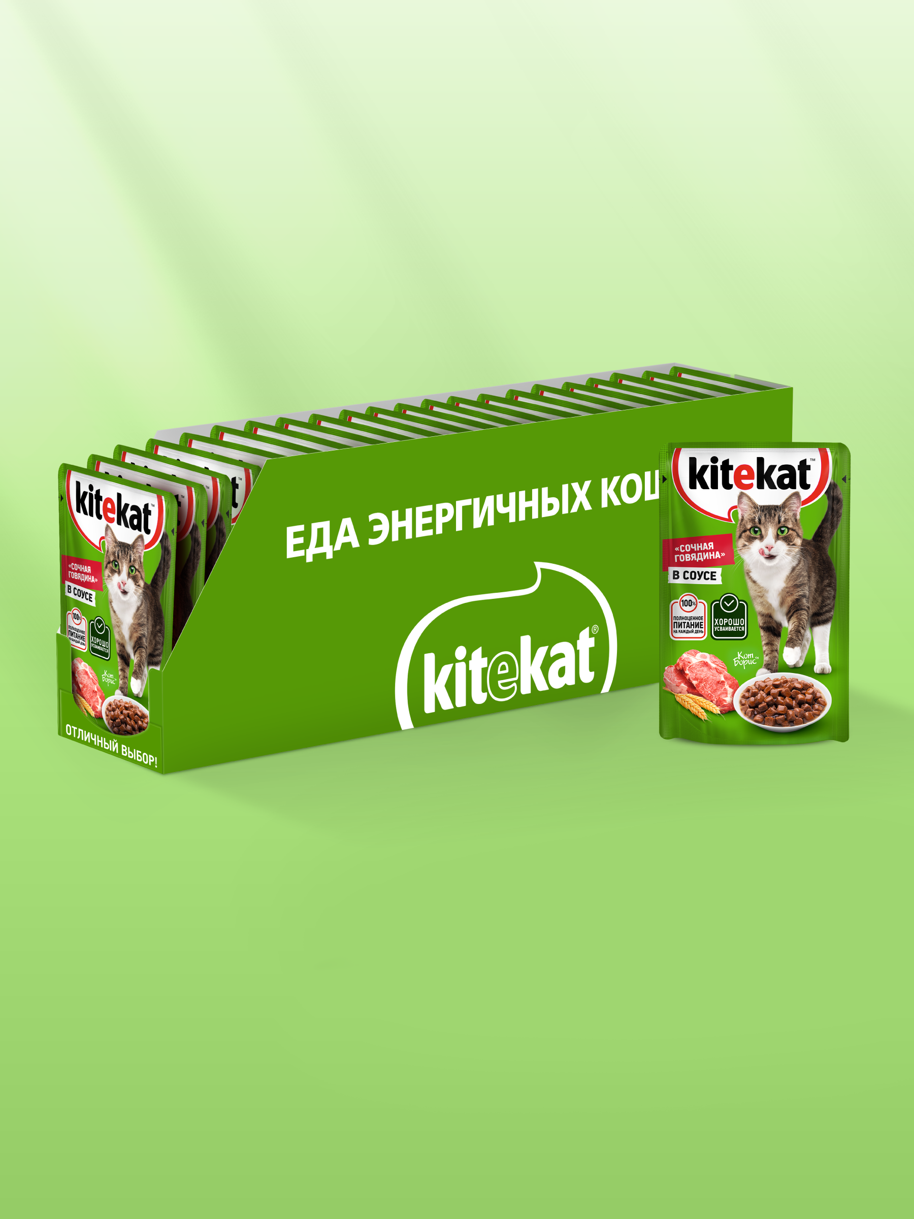 KEK_ECOMM_WET01_34_2025.09.16_wet_green_background_Beef_CIG_Back_Tray