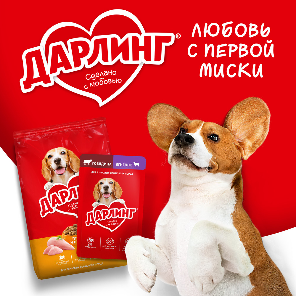 732072cc-c782-40dd-89c9-27265fc94f97