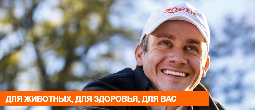 Zoetis banner.jpg Zoetis banner.jpg