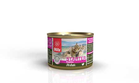 BСW10-1-00200 starter