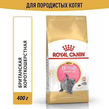 Royal Canin корм для котят породы Британская короткошёрстная