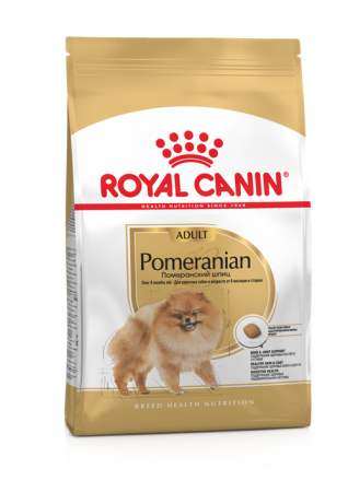 pomeranian-adult-packshot-russie-bhn20