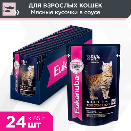 cat-adult-fish_24x85g