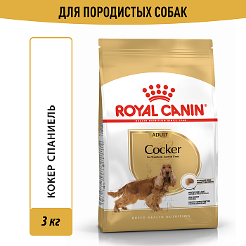 Royal Canin корм для взрослых собак породы Кокер Спаниель