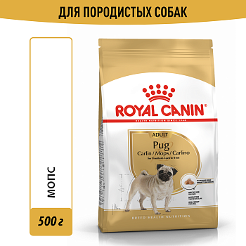 Royal Canin корм для взрослых собак породы Мопс