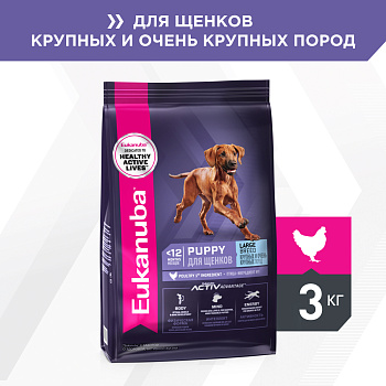 Eukanuba корм для щенков крупных пород, птица