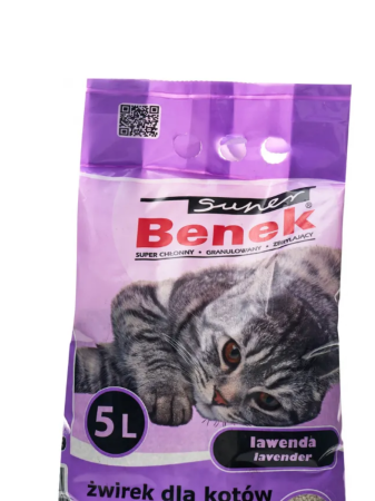 Без названия (13)