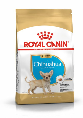 pu-chihuahua-packshot-bhn18