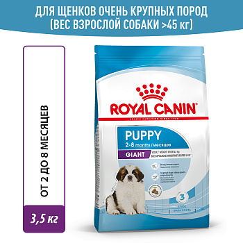 Royal Canin корм для щенков гигантских пород (с 2 до 8 месяцев)