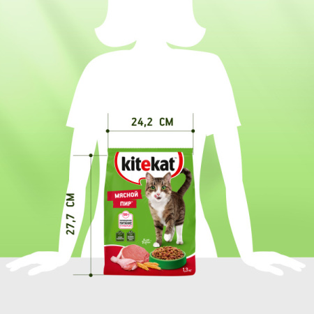 dsz8gav5ufbps1nl4its