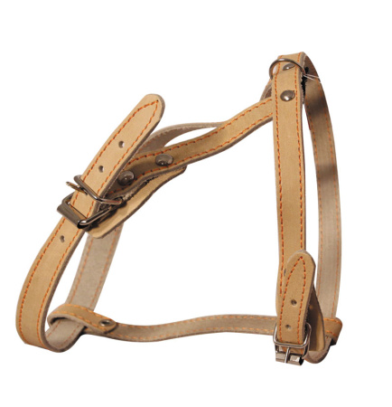 good-cfcfb2a8-b241-11e5-ade2-005056bf744c