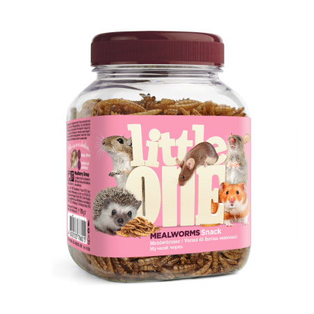 Little One_snack_mealworms_face