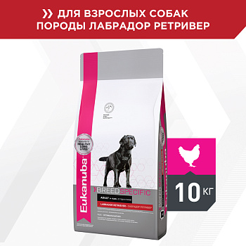 Eukanuba корм для взрослых собак породы Лабрадор, птица