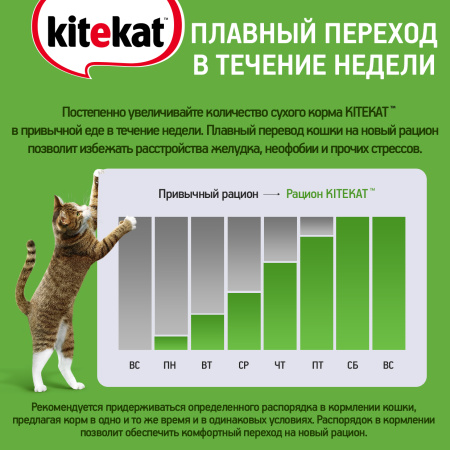 KK_перевод