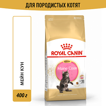 Royal Canin корм для котят породы Мэйн Кун и других крупных пород